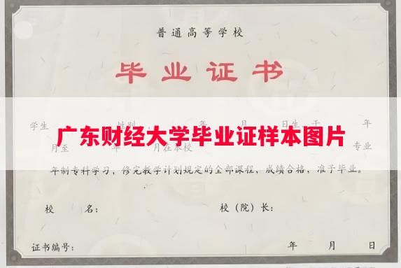 广东财经大学毕业证样本图片