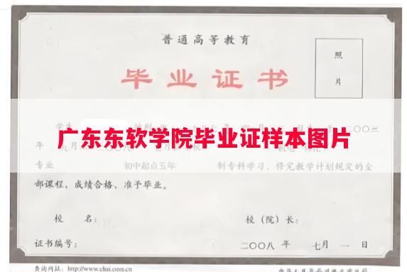 广东东软学院毕业证样本图片