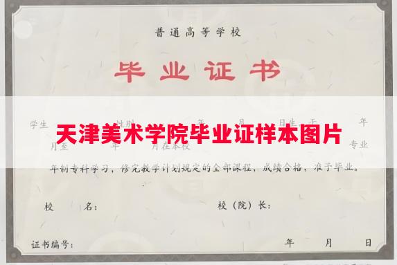 天津美术学院毕业证样本图片