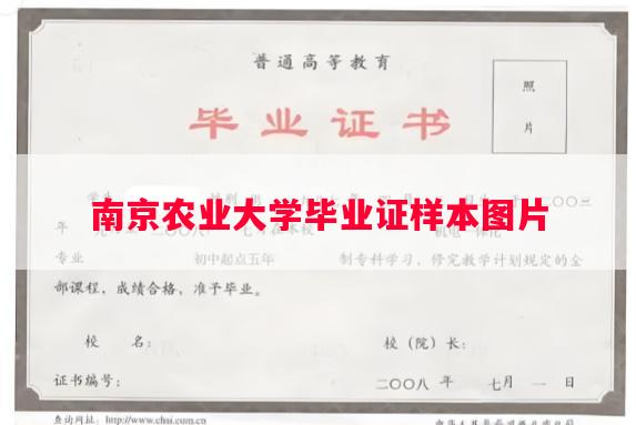 南京农业大学毕业证样本图片