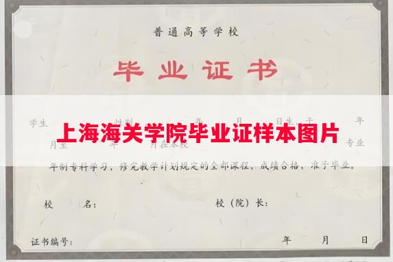 上海海关学院毕业证样本图片