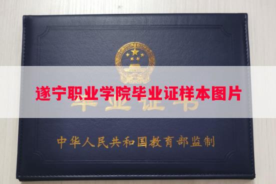 遂宁职业学院毕业证样本图片