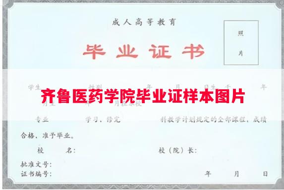 齐鲁医药学院毕业证样本图片