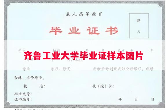 齐鲁工业大学毕业证样本图片