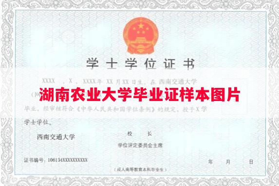 湖南农业大学毕业证样本图片