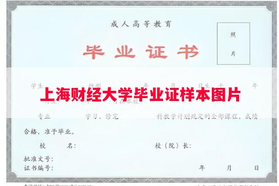 上海财经大学毕业证样本图片
