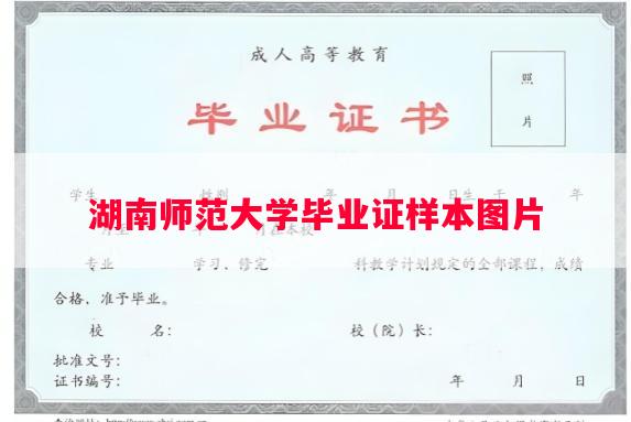 湖南师范大学毕业证样本图片