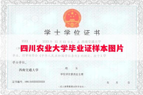 四川农业大学毕业证样本图片