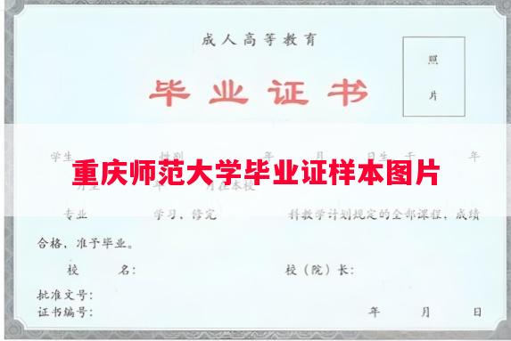 重庆师范大学毕业证样本图片