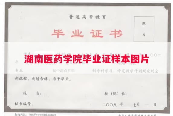 湖南医药学院毕业证样本图片