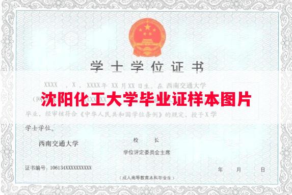 沈阳化工大学毕业证样本图片