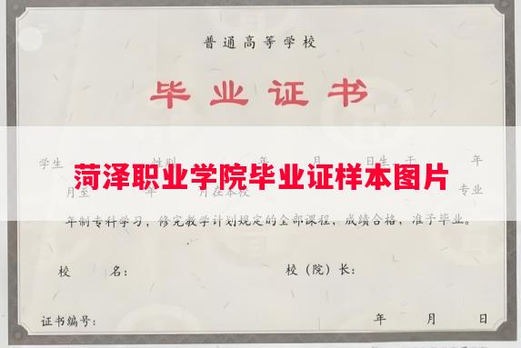 菏泽职业学院毕业证样本图片