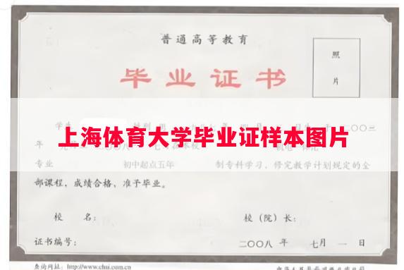 上海体育大学毕业证样本图片