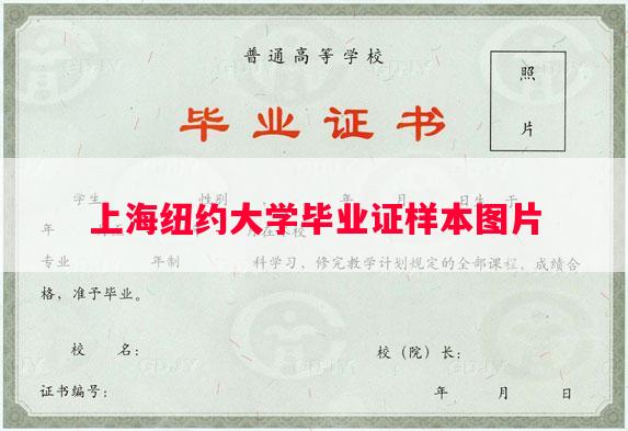 上海纽约大学毕业证样本图片