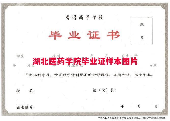 湖北医药学院毕业证样本图片