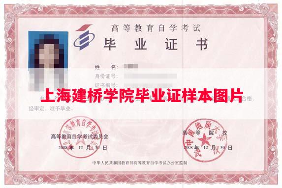 上海建桥学院毕业证样本图片