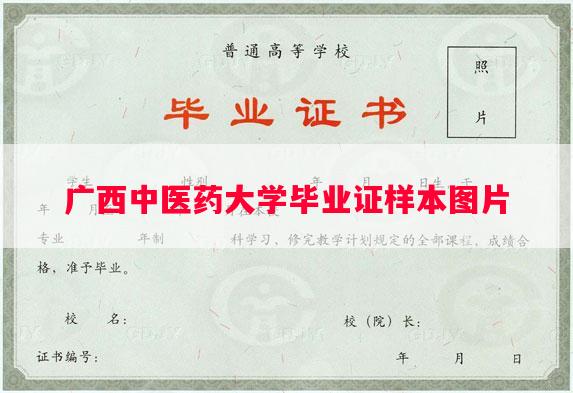 广西中医药大学毕业证样本图片