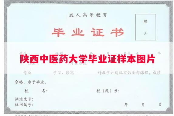 陕西中医药大学毕业证样本图片