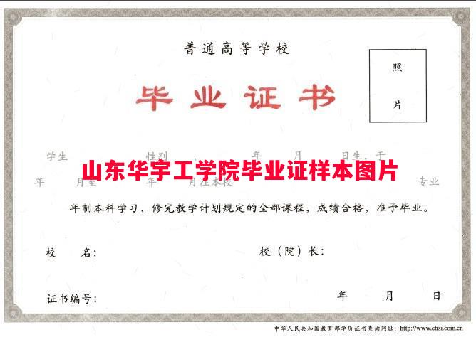 山东华宇工学院毕业证样本图片