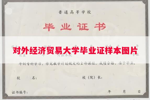 对外经济贸易大学毕业证样本图片