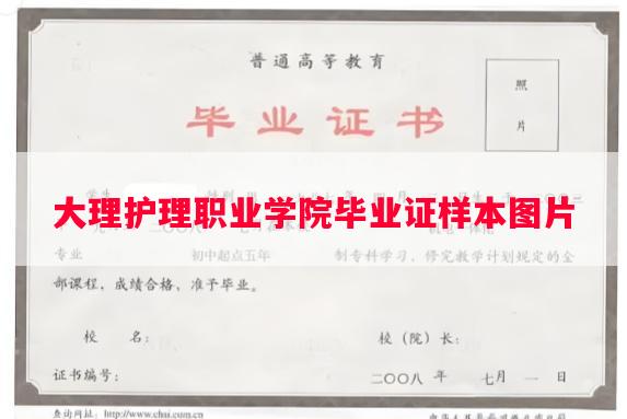 大理护理职业学院毕业证样本图片