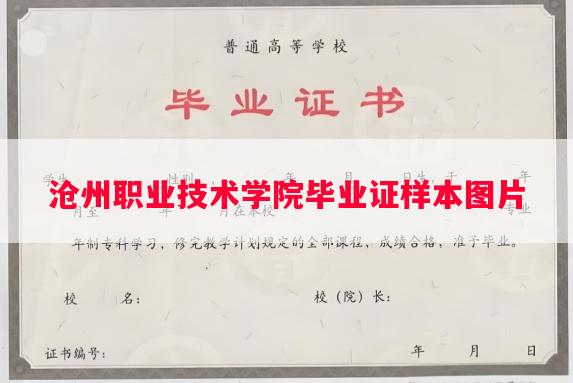沧州职业技术学院毕业证样本图片