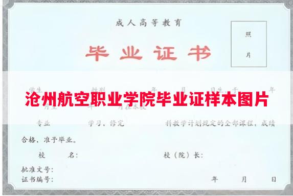 沧州航空职业学院毕业证样本图片
