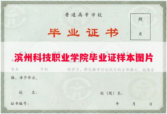 滨州科技职业学院毕业证样本图片