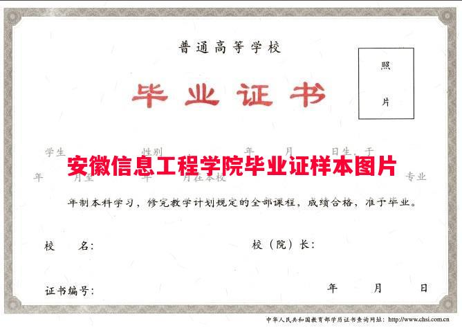 安徽信息工程学院毕业证样本图片