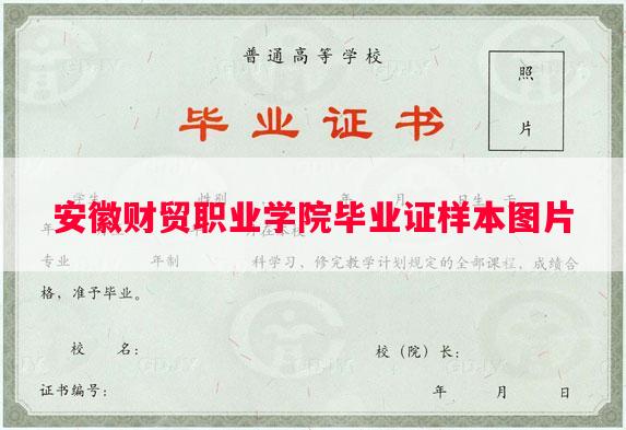 安徽财贸职业学院毕业证样本图片