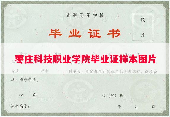 枣庄科技职业学院毕业证样本图片