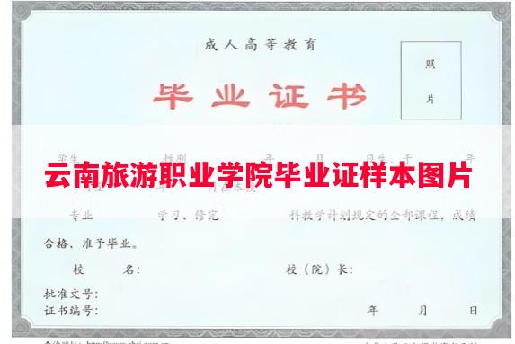 云南旅游职业学院毕业证样本图片