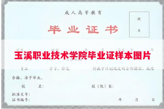 玉溪职业技术学院毕业证样本图片