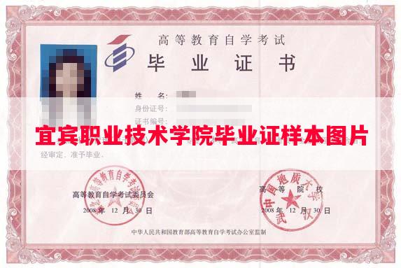 宜宾职业技术学院毕业证样本图片