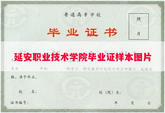 延安职业技术学院毕业证样本图片
