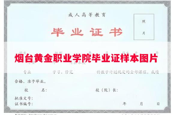 烟台黄金职业学院毕业证样本图片