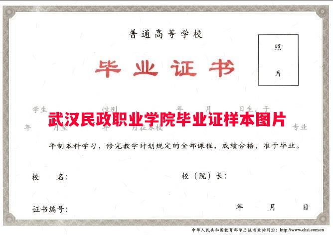 武汉民政职业学院毕业证样本图片