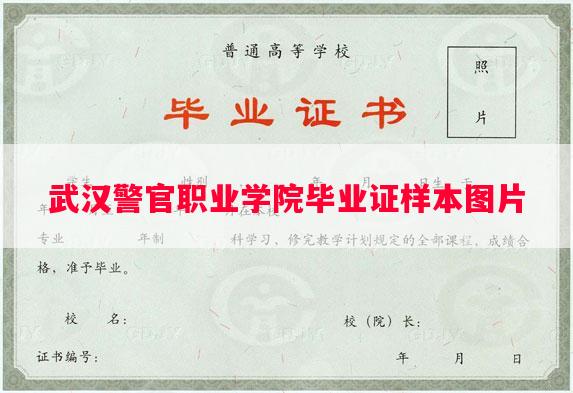 武汉警官职业学院毕业证样本图片