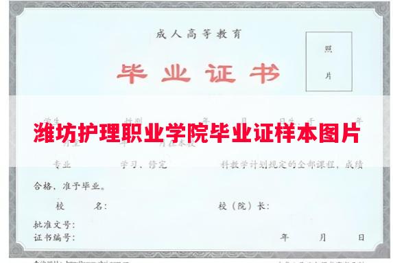 潍坊护理职业学院毕业证样本图片