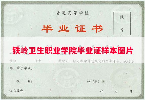 铁岭卫生职业学院毕业证样本图片