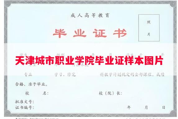 天津城市职业学院毕业证样本图片