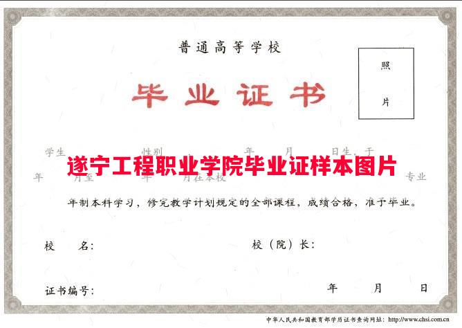 遂宁工程职业学院毕业证样本图片