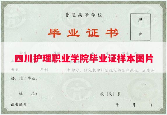 四川护理职业学院毕业证样本图片