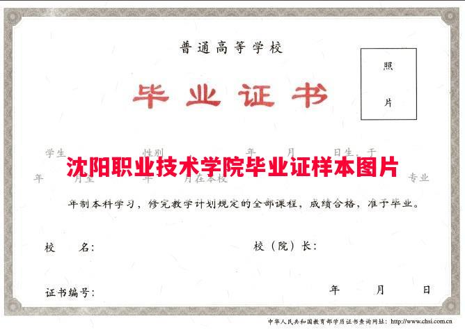 沈阳职业技术学院毕业证样本图片