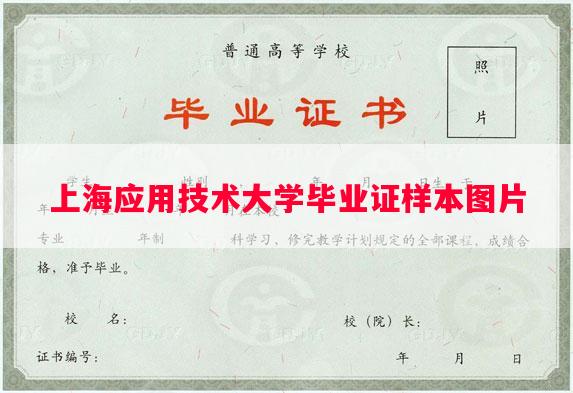 上海应用技术大学毕业证样本图片