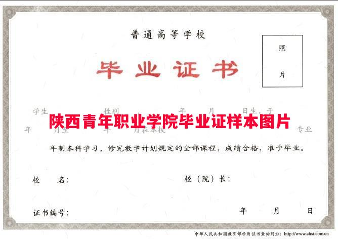 陕西青年职业学院毕业证样本图片