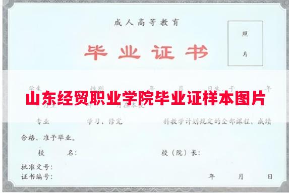 山东经贸职业学院毕业证样本图片
