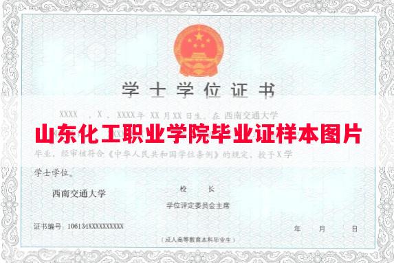 山东化工职业学院毕业证样本图片