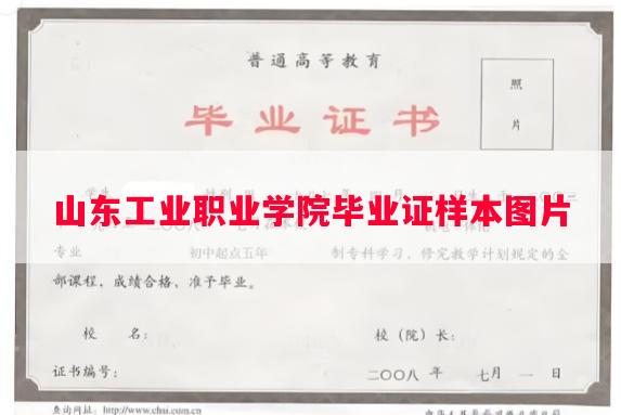 山东工业职业学院毕业证样本图片