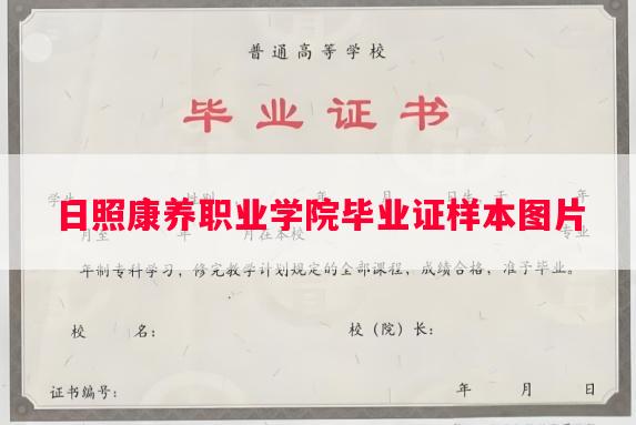 日照康养职业学院毕业证样本图片